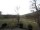 Webcam in Blaubeuren, 5.2 mi away