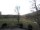 Webcam in Blaubeuren, 5.4 mi away