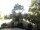 Webcam in Blaubeuren, 13.8 km