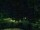Webcam in Blaubeuren, 8 mi away