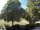 Webcam in Blaubeuren, 1.4 mi away