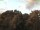 Webcam in Parkstein, 15.1 mi away