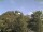 Webcam in Parkstein, 35.2 km entfernt