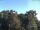 Webcam in Parkstein, 8.7 mi away