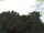 Webcam in Parkstein, 12.9 km