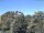 Webcam in Parkstein, 32 km entfernt