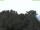 Webcam in Parkstein, 9.6 mi away