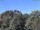 Webcam in Parkstein, 31.8 km entfernt