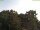 Webcam in Parkstein, 13.4 mi away