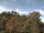 Webcam in Parkstein, 32 km entfernt