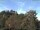Webcam in Parkstein, 22.6 km