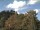 Webcam in Parkstein, 38.1 km