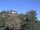 Webcam in Parkstein, 44.8 km entfernt