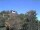Webcam in Parkstein, 24.9 km entfernt