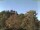 Webcam in Parkstein, 12.9 km entfernt