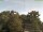 Webcam in Parkstein, 35.2 km
