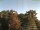 Webcam in Parkstein, 34.6 km