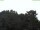 Webcam in Parkstein, 44.8 km entfernt