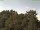 Webcam in Parkstein, 32.1 km