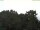 Webcam in Parkstein, 50.5 km entfernt