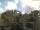 Webcam in Parkstein, 22.6 km