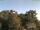Webcam in Parkstein, 15.1 mi away