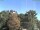 Webcam in Parkstein, 32 km entfernt