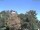 Webcam in Parkstein, 35.2 km entfernt