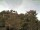 Webcam in Parkstein, 12.4 mi away