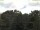 Webcam in Parkstein, 44.8 km