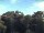 Webcam in Parkstein, 14 mi away