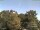 Webcam in Parkstein, 13.5 mi away