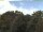 Webcam in Parkstein, 12.9 km entfernt
