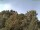 Webcam in Parkstein, 15 mi away