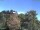 Webcam in Parkstein, 32 km entfernt