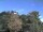 Webcam in Parkstein, 32 km