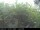 Webcam in Presseggersee, 12.8 km entfernt