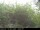 Webcam in Presseggersee, 14.3 km