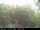 Webcam in Presseggersee, 14.5 km