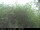 Webcam in Presseggersee, 15.4 km