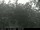 Webcam in Presseggersee, 15.4 km entfernt