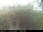 Webcam in Presseggersee, 14.1 km