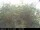 Webcam in Presseggersee, 0.2 mi away