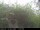 Webcam in Presseggersee, 0.4 km