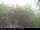 Webcam in Presseggersee, 0 km