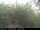 Webcam in Presseggersee, 0 km entfernt