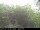 Webcam in Presseggersee, 14.1 km