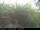 Webcam in Presseggersee, 0.4 km