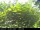 Webcam in Presseggersee, 7.3 km