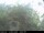 Webcam in Presseggersee, 4.9 mi away